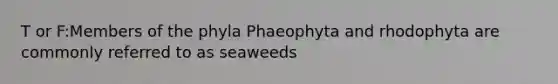 T or F:Members of the phyla Phaeophyta and rhodophyta are commonly referred to as seaweeds