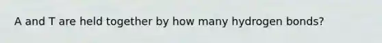 A and T are held together by how many hydrogen bonds?