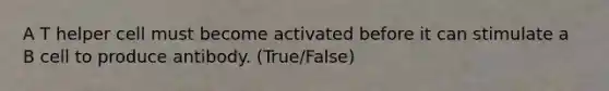 A T helper cell must become activated before it can stimulate a B cell to produce antibody. (True/False)