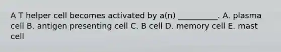 A T helper cell becomes activated by a(n) __________. A. plasma cell B. antigen presenting cell C. B cell D. memory cell E. mast cell