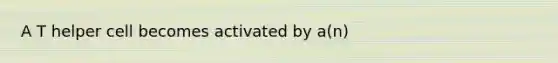 A T helper cell becomes activated by a(n)