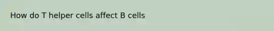 How do T helper cells affect B cells