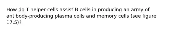 How do T helper cells assist B cells in producing an army of antibody-producing plasma cells and memory cells (see figure 17.5)?