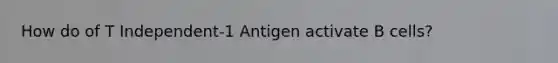 How do of T Independent-1 Antigen activate B cells?