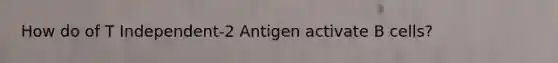 How do of T Independent-2 Antigen activate B cells?