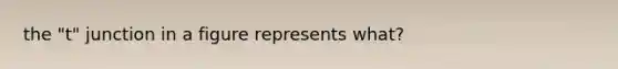 the "t" junction in a figure represents what?