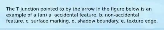 The T junction pointed to by the arrow in the figure below is an example of a (an) a. accidental feature. b. non-accidental feature. c. surface marking. d. shadow boundary. e. texture edge.