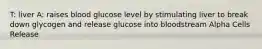 T: liver A: raises blood glucose level by stimulating liver to break down glycogen and release glucose into bloodstream Alpha Cells Release