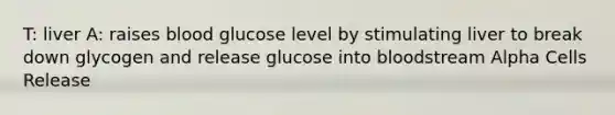 T: liver A: raises blood glucose level by stimulating liver to break down glycogen and release glucose into bloodstream Alpha Cells Release