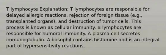 T lymphocyte Explanation: T lymphocytes are responsible for delayed allergic reactions, rejection of foreign tissue (e.g., transplanted organs), and destruction of tumor cells. This process is known as cellular immunity. B lymphocytes are responsible for humoral immunity. A plasma cell secretes immunoglobulin. A basophil contains histamine and is an integral part of hypersensitivity reactions.