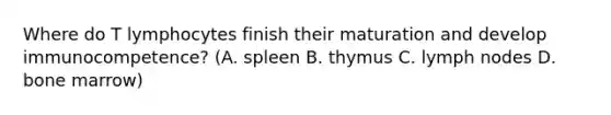 Where do T lymphocytes finish their maturation and develop immunocompetence? (A. spleen B. thymus C. lymph nodes D. bone marrow)