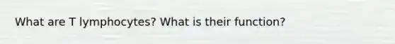 What are T lymphocytes? What is their function?