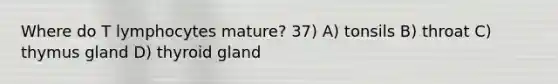 Where do T lymphocytes mature? 37) A) tonsils B) throat C) thymus gland D) thyroid gland