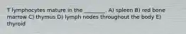 T lymphocytes mature in the ________. A) spleen B) red bone marrow C) thymus D) lymph nodes throughout the body E) thyroid