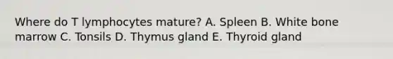 Where do T lymphocytes mature? A. Spleen B. White bone marrow C. Tonsils D. Thymus gland E. Thyroid gland