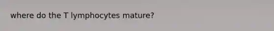 where do the T lymphocytes mature?