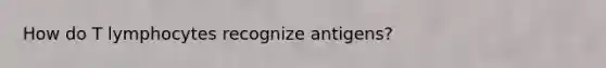 How do T lymphocytes recognize antigens?