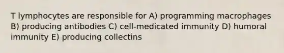 T lymphocytes are responsible for A) programming macrophages B) producing antibodies C) cell-medicated immunity D) humoral immunity E) producing collectins