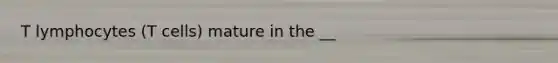 T lymphocytes (T cells) mature in the __