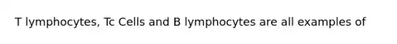 T lymphocytes, Tc Cells and B lymphocytes are all examples of