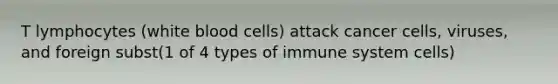 T lymphocytes (white blood cells) attack cancer cells, viruses, and foreign subst(1 of 4 types of immune system cells)