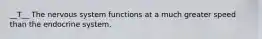 __T__ The nervous system functions at a much greater speed than the endocrine system.