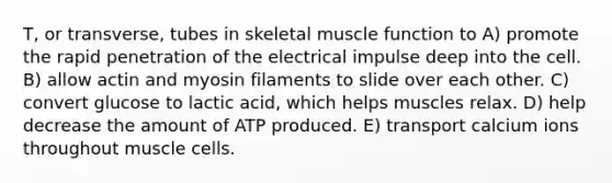 T, or transverse, tubes in skeletal muscle function to A) promote the rapid penetration of the electrical impulse deep into the cell. B) allow actin and myosin filaments to slide over each other. C) convert glucose to lactic acid, which helps muscles relax. D) help decrease the amount of ATP produced. E) transport calcium ions throughout muscle cells.