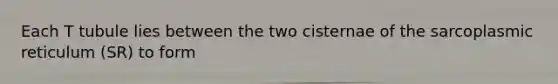 Each T tubule lies between the two cisternae of the sarcoplasmic reticulum (SR) to form