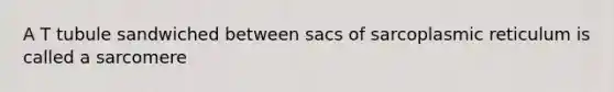 A T tubule sandwiched between sacs of sarcoplasmic reticulum is called a sarcomere