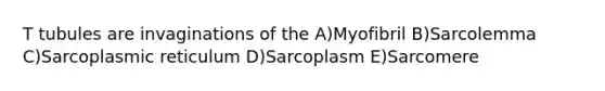 T tubules are invaginations of the A)Myofibril B)Sarcolemma C)Sarcoplasmic reticulum D)Sarcoplasm E)Sarcomere