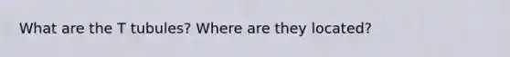 What are the T tubules? Where are they located?