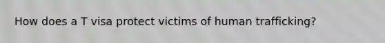 How does a T visa protect victims of human trafficking?