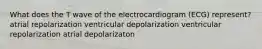 What does the T wave of the electrocardiogram (ECG) represent? atrial repolarization ventricular depolarization ventricular repolarization atrial depolarizaton