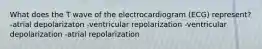 What does the T wave of the electrocardiogram (ECG) represent? -atrial depolarizaton -ventricular repolarization -ventricular depolarization -atrial repolarization