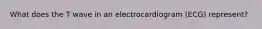 What does the T wave in an electrocardiogram (ECG) represent?