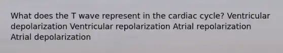 What does the T wave represent in the cardiac cycle? Ventricular depolarization Ventricular repolarization Atrial repolarization Atrial depolarization