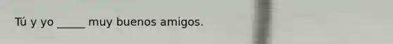 Tú y yo _____ muy buenos amigos.