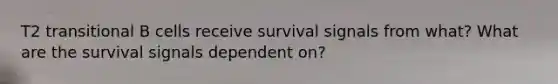 T2 transitional B cells receive survival signals from what? What are the survival signals dependent on?