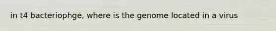 in t4 bacteriophge, where is the genome located in a virus