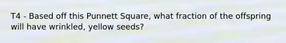 T4 - Based off this Punnett Square, what fraction of the offspring will have wrinkled, yellow seeds?