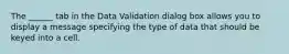 The ______ tab in the Data Validation dialog box allows you to display a message specifying the type of data that should be keyed into a cell.