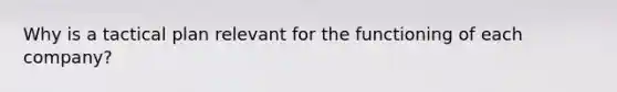 Why is a tactical plan relevant for the functioning of each company?
