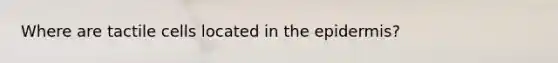 Where are tactile cells located in <a href='https://www.questionai.com/knowledge/kBFgQMpq6s-the-epidermis' class='anchor-knowledge'>the epidermis</a>?