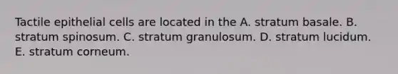 Tactile epithelial cells are located in the A. stratum basale. B. stratum spinosum. C. stratum granulosum. D. stratum lucidum. E. stratum corneum.