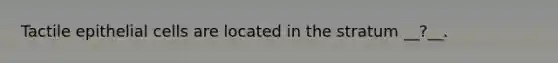 Tactile epithelial cells are located in the stratum __?__.