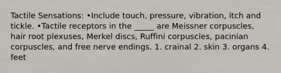 Tactile Sensations: •Include touch, pressure, vibration, itch and tickle. •Tactile receptors in the _____ are Meissner corpuscles, hair root plexuses, Merkel discs, Ruffini corpuscles, pacinian corpuscles, and free nerve endings. 1. crainal 2. skin 3. organs 4. feet