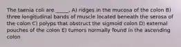 The taenia coli are _____. A) ridges in the mucosa of the colon B) three longitudinal bands of muscle located beneath the serosa of the colon C) polyps that obstruct the sigmoid colon D) external pouches of the colon E) tumors normally found in the ascending colon