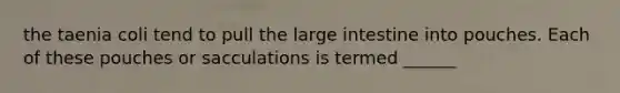 the taenia coli tend to pull the large intestine into pouches. Each of these pouches or sacculations is termed ______