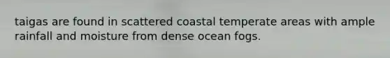 taigas are found in scattered coastal temperate areas with ample rainfall and moisture from dense ocean fogs.