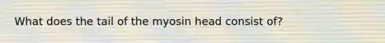 What does the tail of the myosin head consist of?